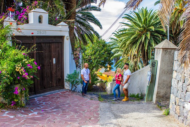 Tenerife North Private Tour: Through Villages and Ports - Electric Convenience and a Real Local Pace