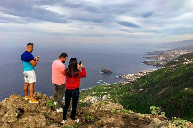 Tenerife North Private Tour: Through Villages and Ports - Valle La Orotava: The View Stop That Sets the Tone