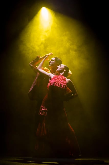 Tenerife : Olé Flamenco Show by Fran Chafino Ticket - Timing that keeps your evening smooth (8:30 doors, 9:00 show)