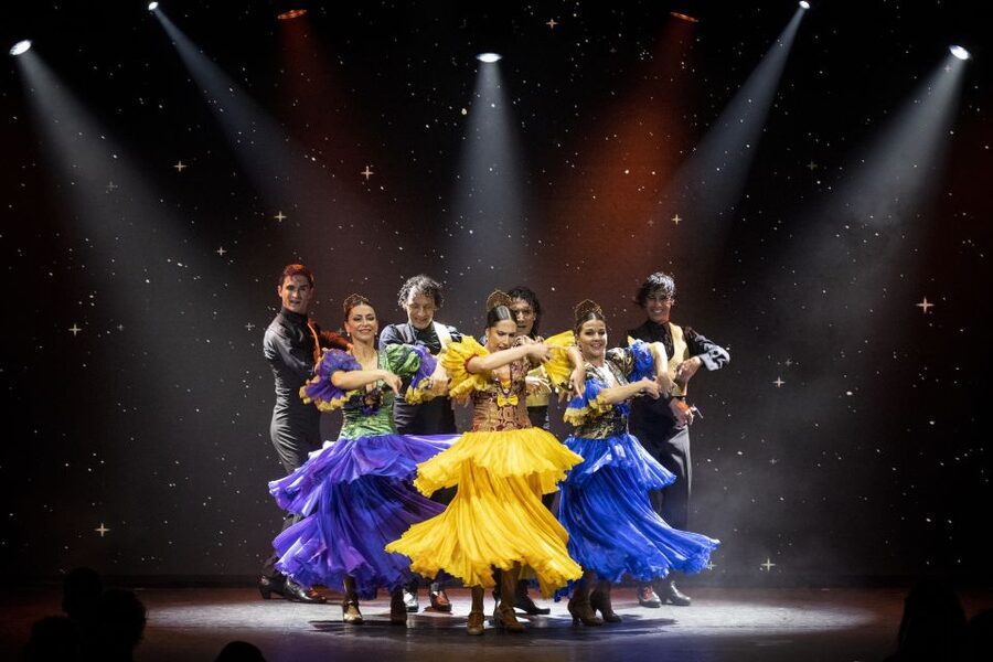 Tenerife : Olé Flamenco Show by Fran Chafino Ticket - Fran Chafino and the cast: high voltage, controlled precision
