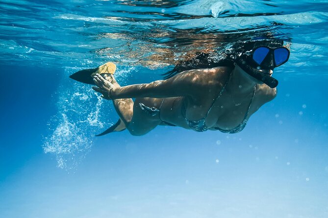 Tenerife Paddle Surf and Snorkeling Experience - Key highlights worth knowing before you go