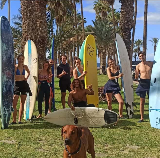 Tenerife: Paddle Surf Experience in Playa de las Américas - A Golden Hour Board Ride Over Playa de las Américas