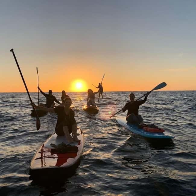 Tenerife: Paddle Surf Experience in Playa de las Américas - Price and Value: What You’re Actually Paying For