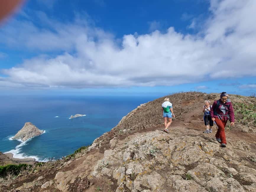 Tenerife: Panoramic Laurel Forest Guided Hike and local food - Key highlights you’ll actually feel on the hike