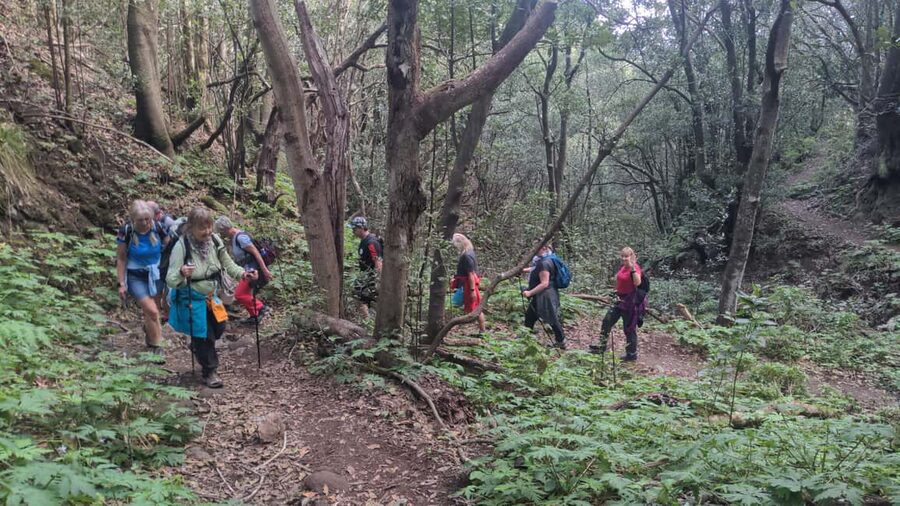 Tenerife: Panoramic Laurel Forest Guided Hike and local food - Why Anaga Rural Park feels special (and not like a bus tour)