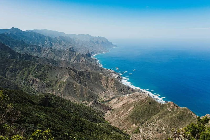 Tenerife: Panoramic Laurel Forest Guided Hike and local food - Laurel forest and Canary Island bellflower: the plants are the plot