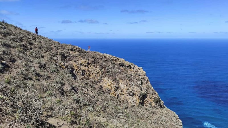 Tenerife: Panoramic Laurel Forest Guided Hike and local food - Roques de Anaga viewpoints: big cliffs, big rewards
