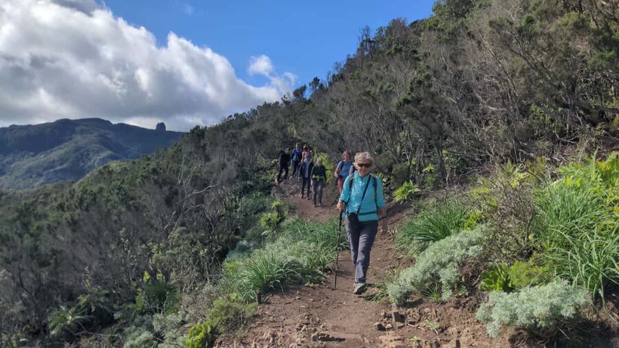 Tenerife: Panoramic Laurel Forest Guided Hike and local food - Pace, difficulty, and who should (and shouldn’t) choose this