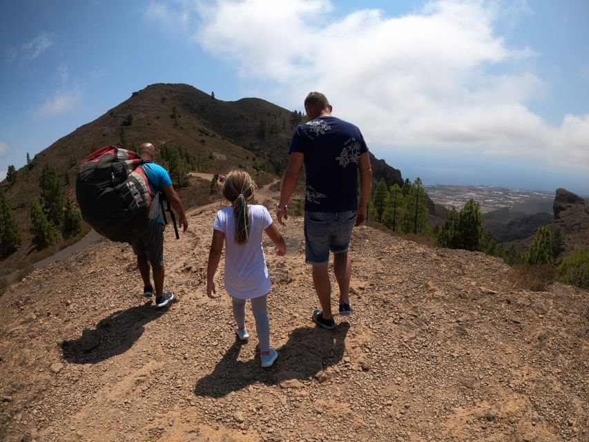 Tenerife: Paragliding with National Champion Paraglider - Should You Book Sky of Tenerife Paragliding?