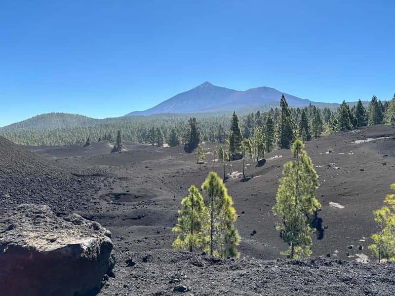 Tenerife: premium e-bike ride at Chineyro volcanic area - Key takeaways before you go