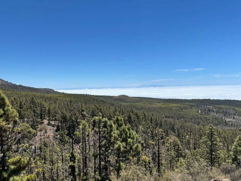 Tenerife: premium e-bike ride at Vilaflor- Lunar Landscape - From tarmac roads into Canary Pine trails