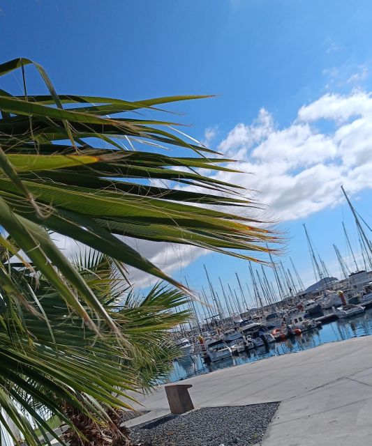 Tenerife: PRIVATE Catamaran cruise with Lunch and Drinks - Food on Board: Tapas, Paella, and the Drinks People Actually Want