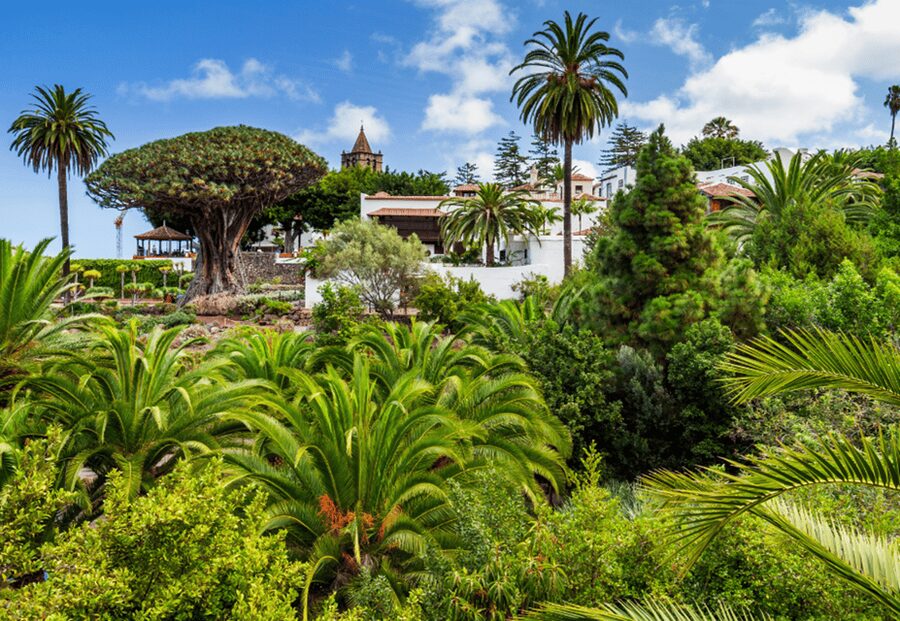 Tenerife: Private Day Tour of the Island with Hotel Pickup - Candelaria: starting at the Canary Islands’ patron-saint site