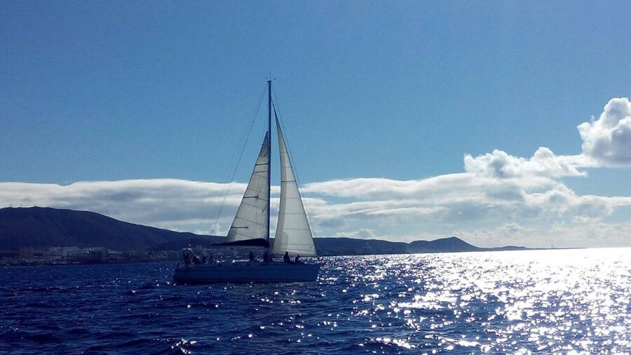 Tenerife: Private or Group 3 Hour Sailing Cruise with Drinks - Boarding at Puerto Colón: Finding Paseo Colón, Pantalán 8