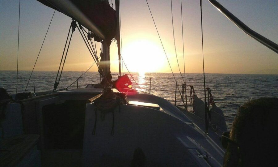 Tenerife: Private or Group 3 Hour Sailing Cruise with Drinks - Whale and dolphin watching: how to get the most from cetacean time