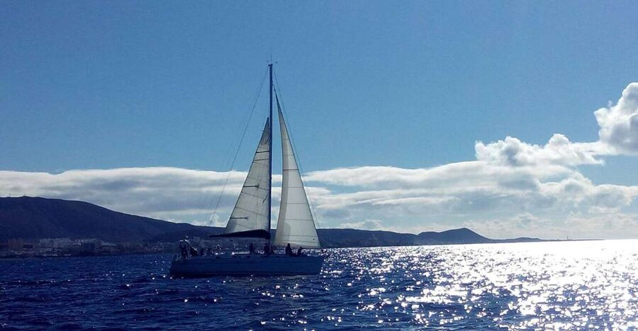 Tenerife: Private or Group 3 Hour Sailing Cruise with Drinks - The sea swim moment: when you’ll get your splash time