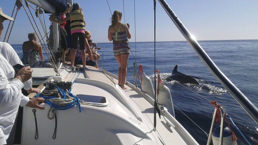 Tenerife: Private or Group 3 Hour Sailing Cruise with Drinks - Potential snags at sea: what to be ready for