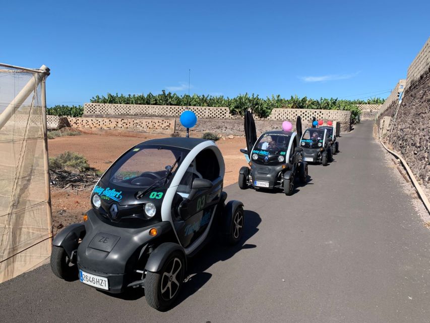 Tenerife: Private Renault Twizy Tour - Key things that make this Twizy tour worth it