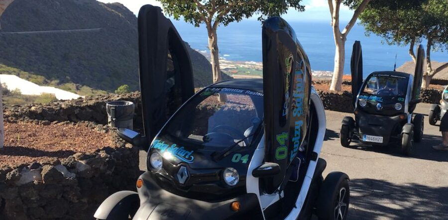 Tenerife: Private Renault Twizy Tour - Banana plantation visit: learning how the fruit is grown