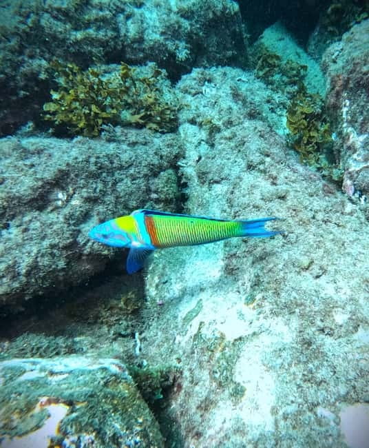 Tenerife: Private Scuba Diving–Certified Instructor & Photos - Price of about $114 per person: where the value comes from