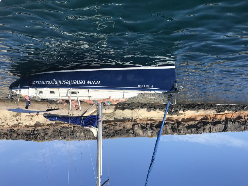 Tenerife: Private Sunset Charter with Drinks and Tapas - What you’re likely to see: whales, dolphins, and even turtles