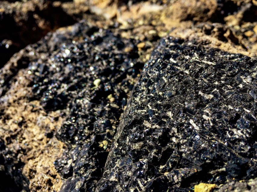 Tenerife Private Tour: Full-Day Volcanic South - Key highlights worth planning around