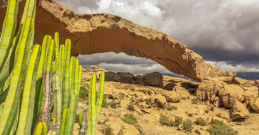 Tenerife Private Tour: Full-Day Volcanic South - Why the volcanic south feels different when you go private