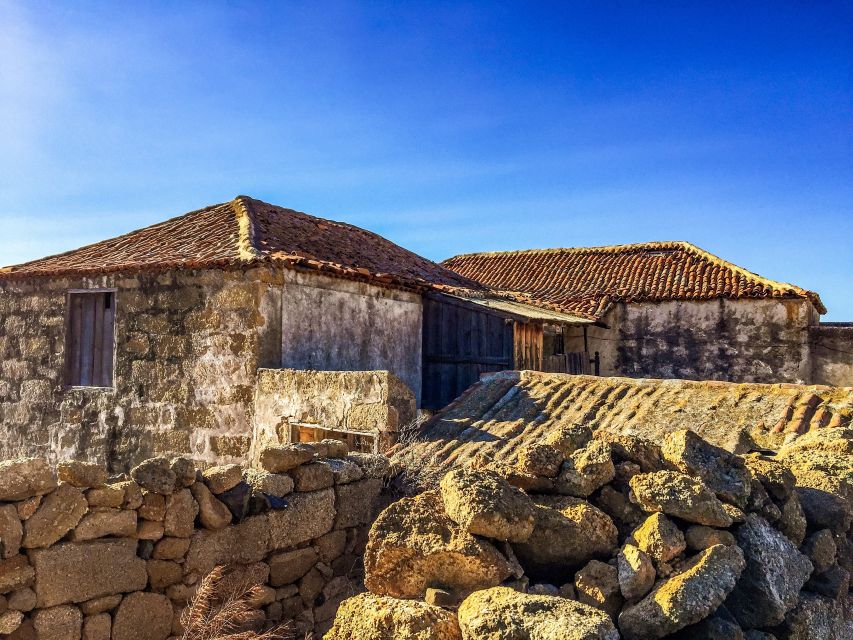 Tenerife Private Tour: Full-Day Volcanic South - San Miguel de Abona, viewpoints, and the Arona plant story