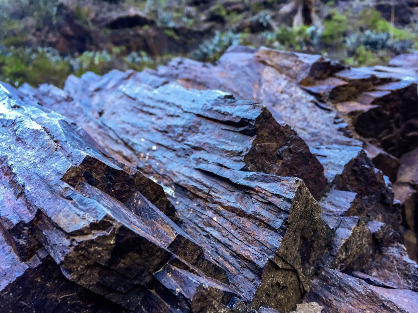 Tenerife Private Tour: Full-Day Volcanic South - Price and value: is $888 per group worth it?