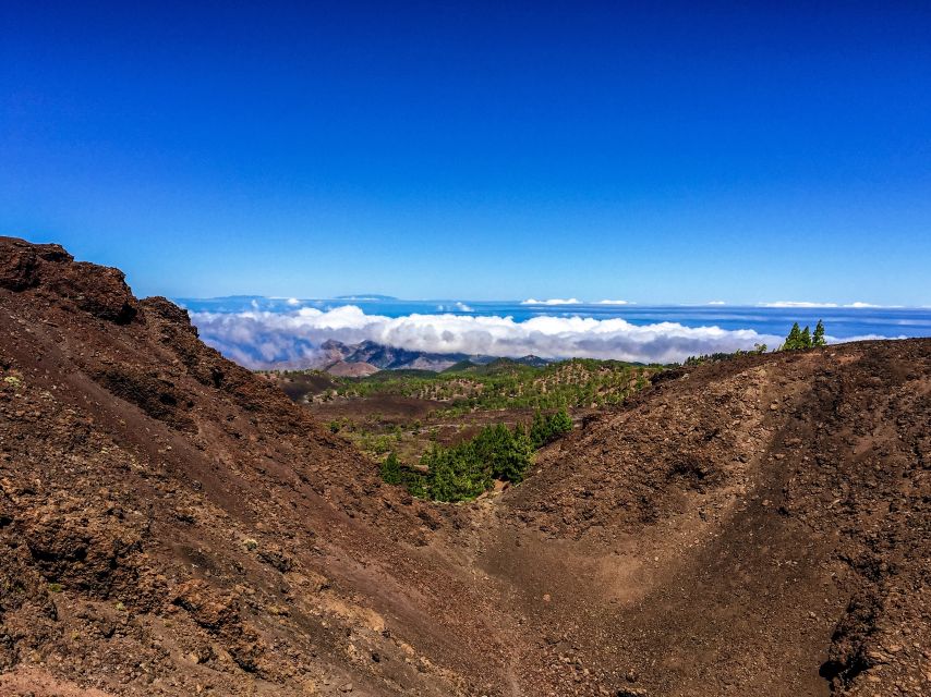 Tenerife Private Tour: Full-Day Volcanic South - Getting to Arico Nuevo: the first “wow” in the volcanic south