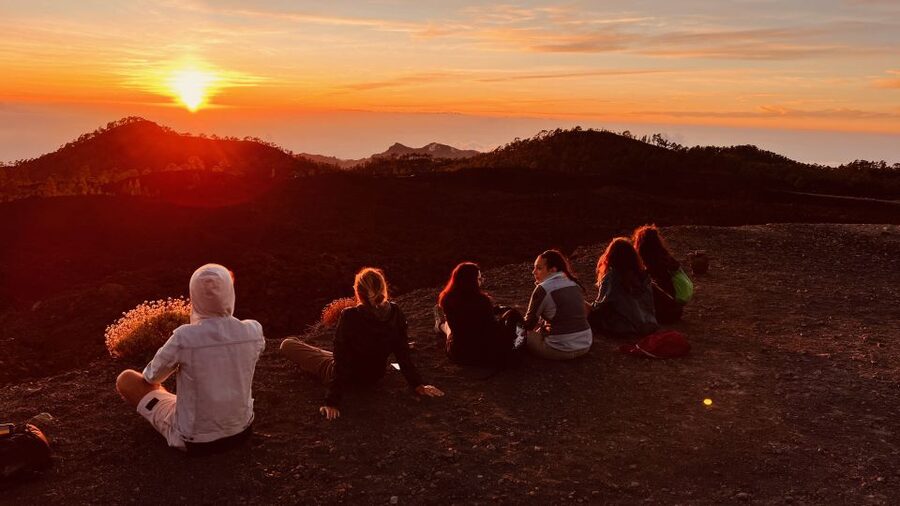 Tenerife: Private VIP Tour Teide National Park - Teide VIP: why this private format feels better than a group bus