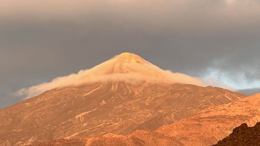 Tenerife: Private VIP Tour Teide National Park - Corona Forestal Nature Park and Pino Gordo: where the vegetation story gets real