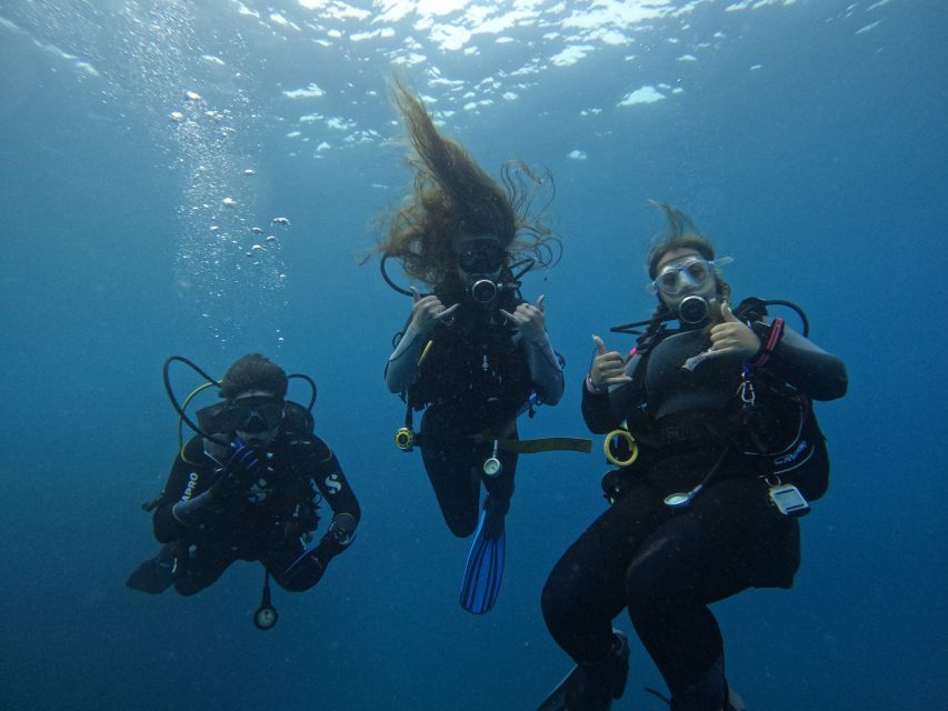 Tenerife: Puerto Colon Certified Scuba Dive by Speed Boat - Key highlights that make this trip worth planning