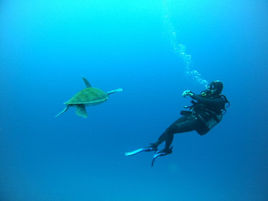 Tenerife: Puerto Colon Certified Scuba Dive by Speed Boat - The speedboat run along Tenerife’s south coast