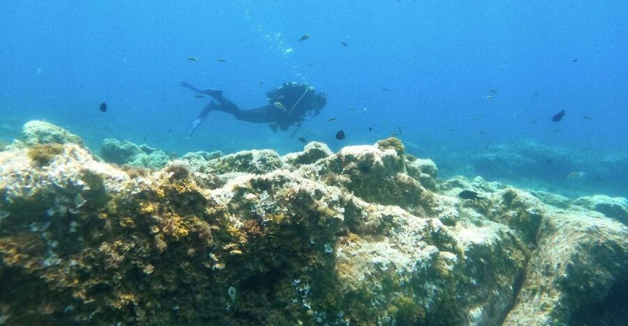 Tenerife: Puerto Colon Certified Scuba Dive by Speed Boat - What happens after: washing your gear, debriefing, and logbook stamps