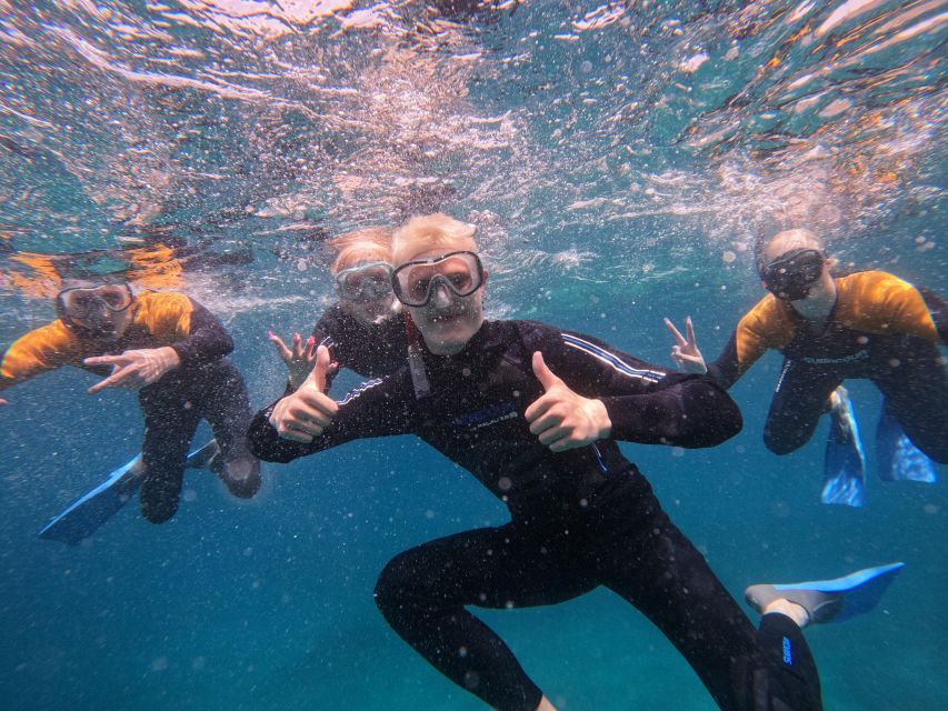 Tenerife: Puerto Colon Snorkel Safari by Speed Boat - The 30-minute safety briefing that actually matters