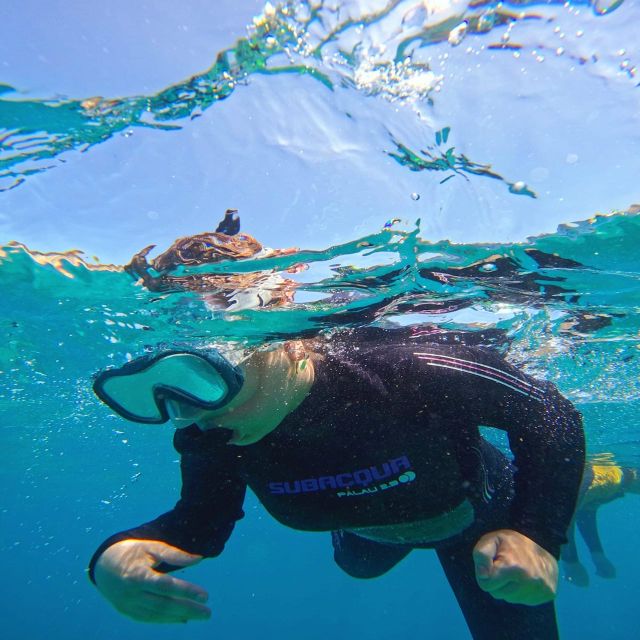 Tenerife: Puerto Colon Snorkel Safari by Speed Boat - Speedboat ride: short, scenic, and built for getting to the bay fast