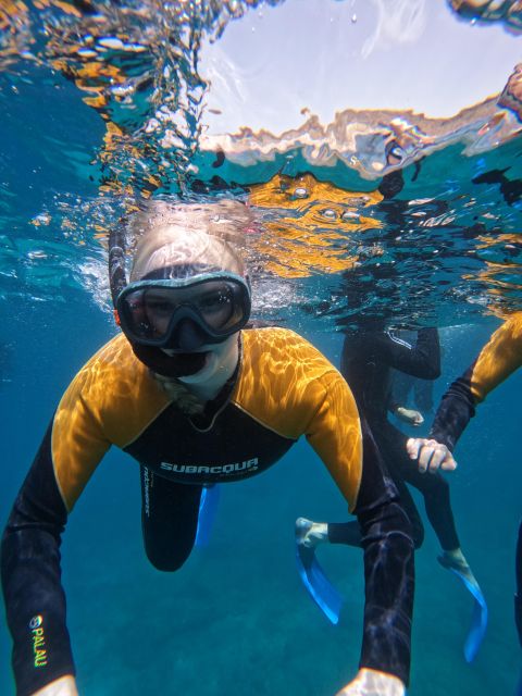 Tenerife: Puerto Colon Snorkel Safari by Speed Boat - The one-hour snorkeling window: what you’ll look for