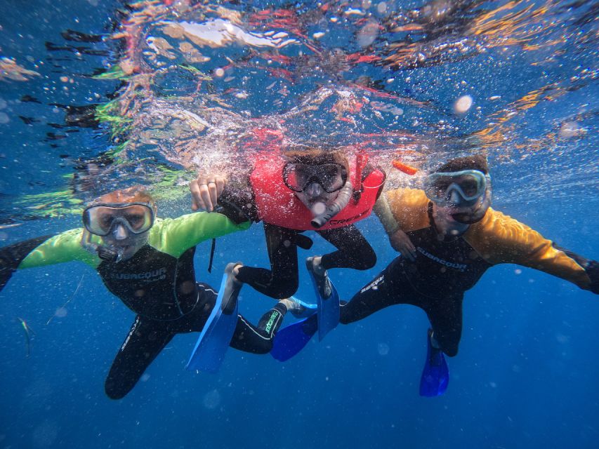 Tenerife: Puerto Colon Snorkel Safari by Speed Boat - How the tour timing keeps things fun (and not exhausting)