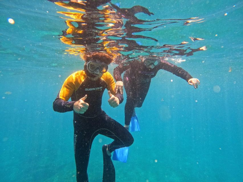 Tenerife: Puerto Colon Snorkel Safari by Speed Boat - Meeting point at Zero Gravity Tenerife by dock 3