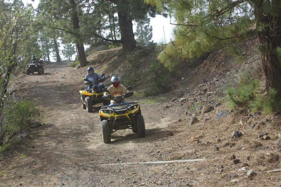 Tenerife: Quad Bike Off-Road Adventure - Price and value: why 2 hours can be worth it here