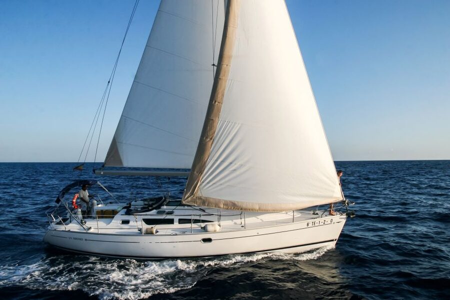 Tenerife: Sailboat Tour Whale Watching Food and Snorkeling - Tenerife whale watching from a real sailing boat (not a cattle boat)