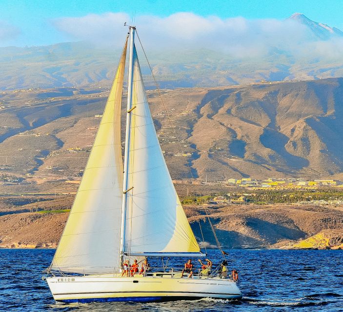 Tenerife: Sailboat Tour Whale Watching Food and Snorkeling - Puerto Colón swim and snorkel: warm water, short stop, real gear