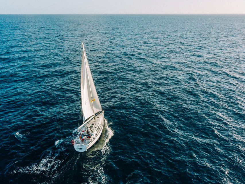 Tenerife: Sailboat Tour Whale Watching Food and Snorkeling - Price and value: what $70 buys you for 3 hours