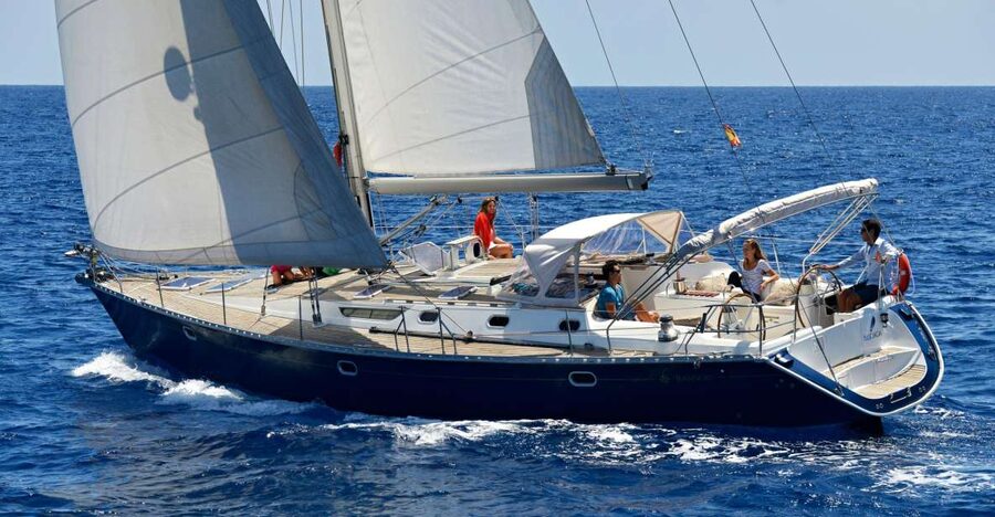 Tenerife: Sailing Excursion with Whale and Dolphin Watching - Wildlife Watching That Actually Feels Like Wildlife Watching