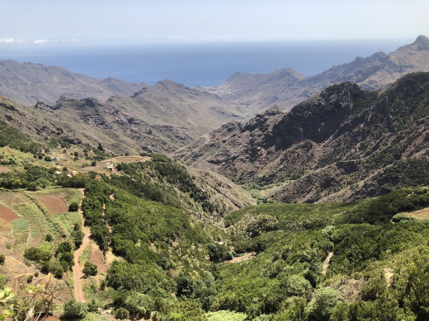 Tenerife: Santa Cruz, La Laguna and Anaga Tour - Who this tour fits best (and who should choose differently)