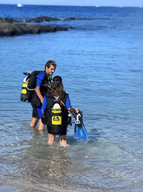 Tenerife: Scuba Dive & Fun, Discover the Magic of the Ocean - The guided open-water scuba session: about 30–40 minutes of real ocean