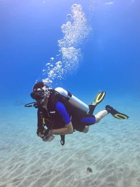 Tenerife: Scuba Dive & Fun, Discover the Magic of the Ocean - Price and value: about $106 for a fully guided first experience