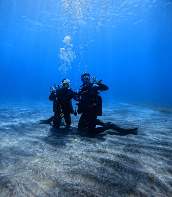 Tenerife: Scuba Diving Experience for Every Level - The guided underwater session around Tenerife’s volcanic formations