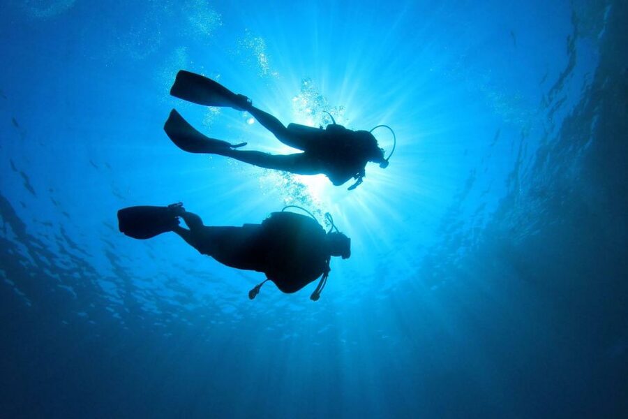 Tenerife: Scuba Diving Experience with Instructor and Gear - What You’ll See Underwater: Canarian Life and the Sea-Floor View